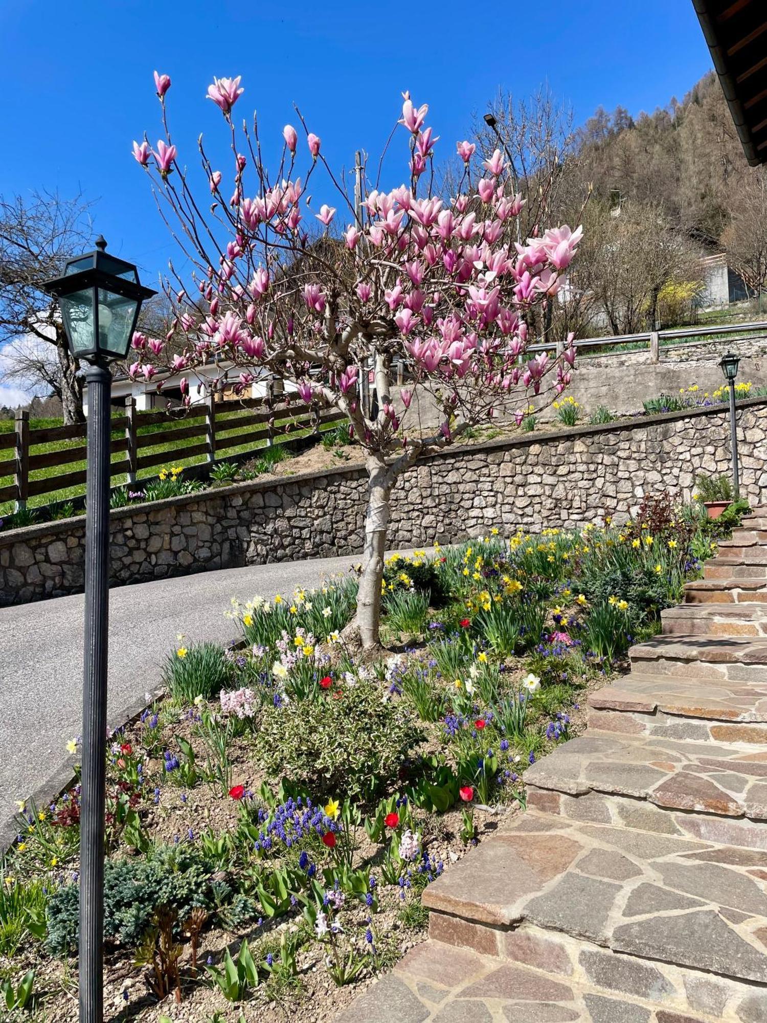 Отель Ca Borghetto Venas Экстерьер фото